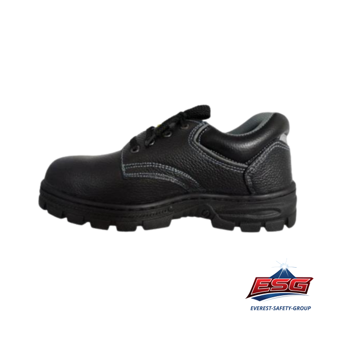 RANGER LY2202