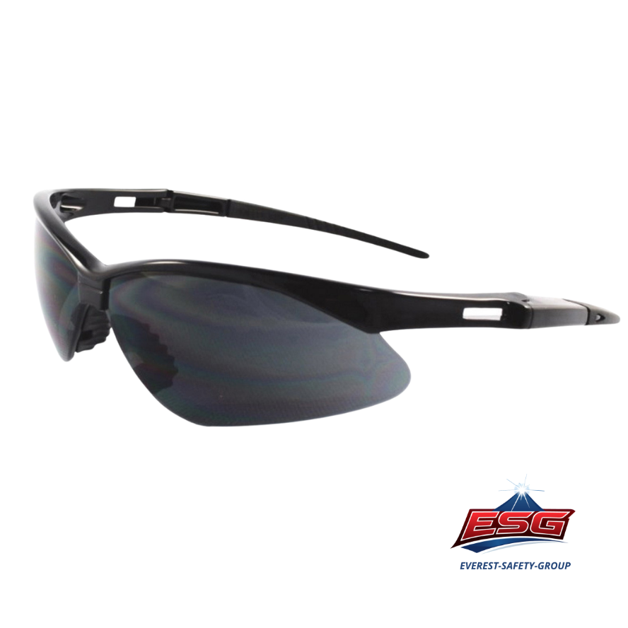 Safety eyewear EV-502
