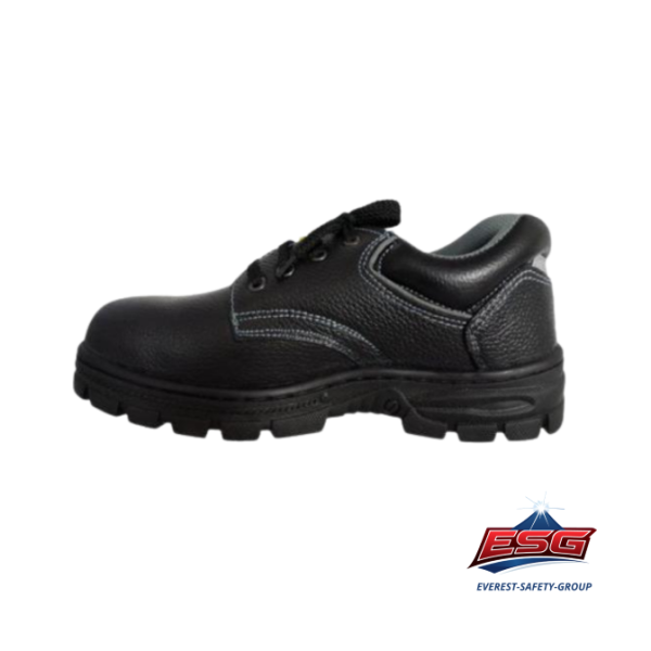 RANGER LY2202