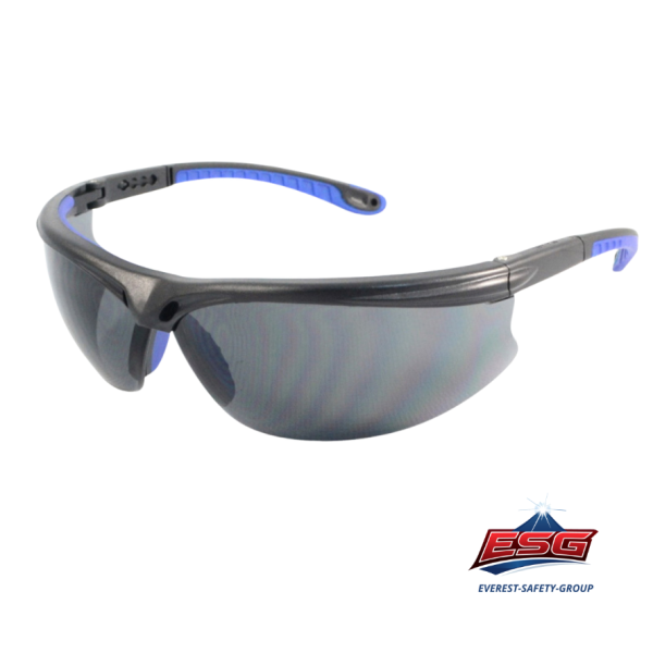 Safety eyewear EV-602