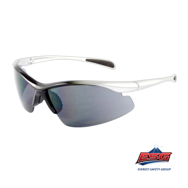 Safety eyewear EV-701