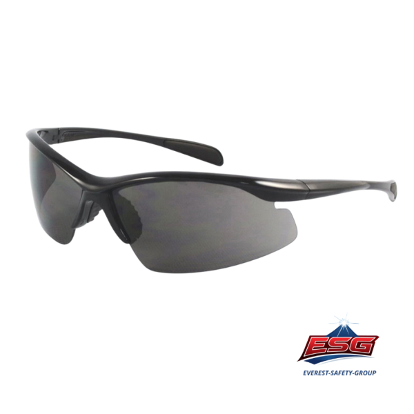 Safety eyewear EV-702
