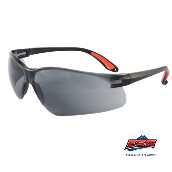 Safety eyewear EV-202