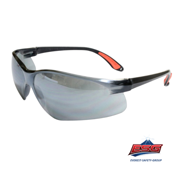Safety eyewear EV-204