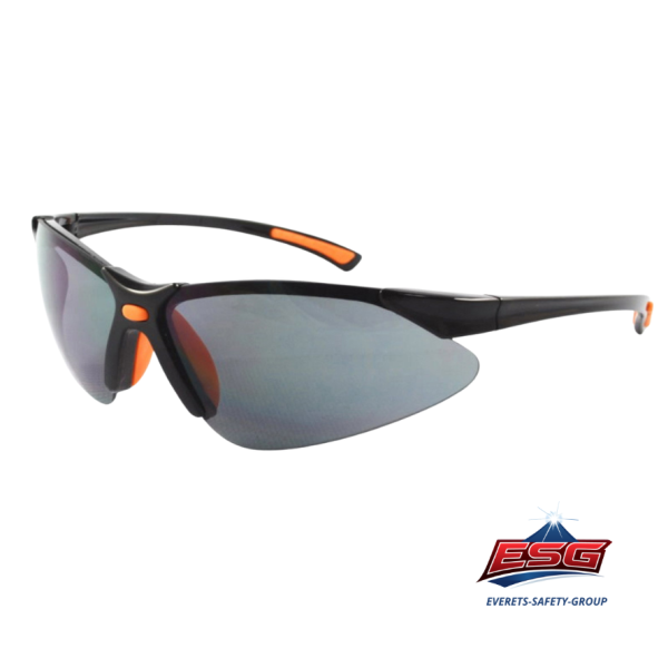 Safety eyewear EV-302