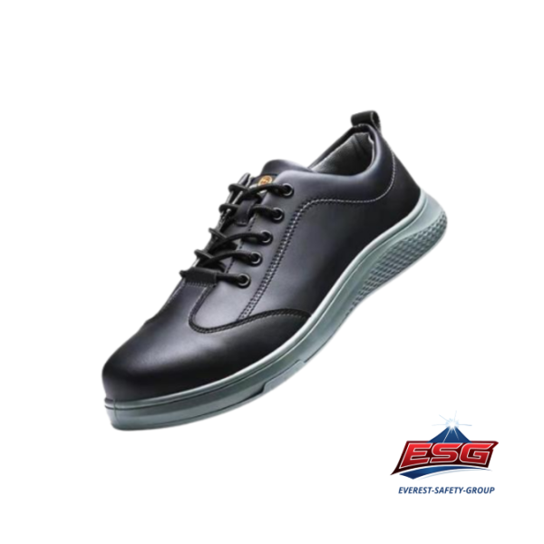 VANGUARD PRO LY2181-2