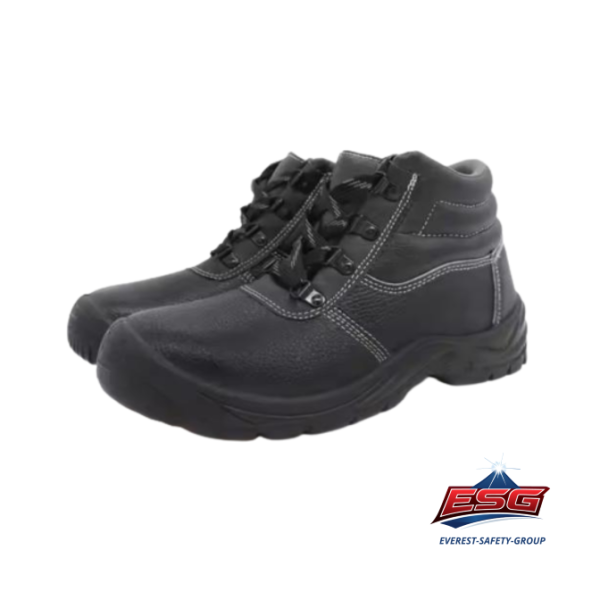 TITANIUM L LY2313-L