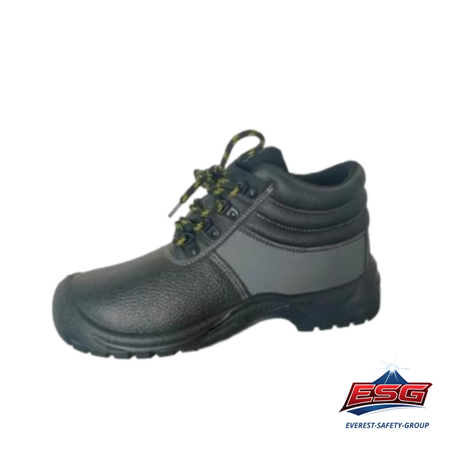 RAPTOR LY2464